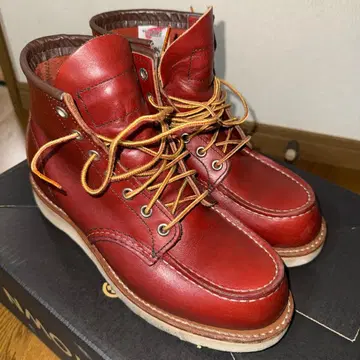 [새상품급] 레드윙 8875 25cm USA 7E