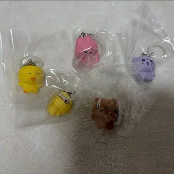 최고심 메지루시 액세서리 컴프