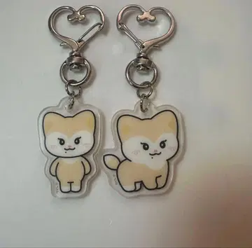 ITZY TWINZY 아크릴 키링 채령 RyeoWoo