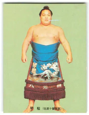 카루비 스모 코토자쿠라/제1블록/재판매 1