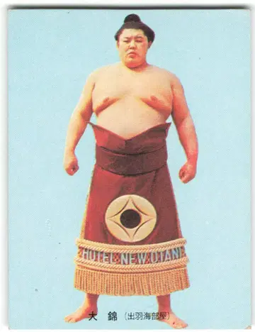 카루비 스모 오오니시키/제1블록/재판매 13