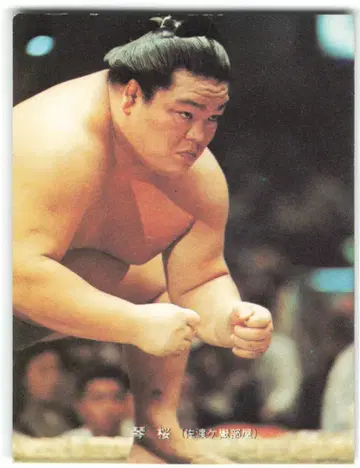 카루비 스모 코토자쿠라/제2블록 25