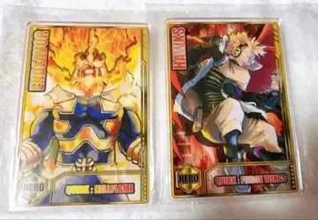 히로아카 스탯 카드 컬렉션 엔데버 호크스