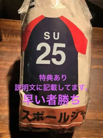 RIP SLYME GREATEST LIVE 베이스볼 셔츠 SU