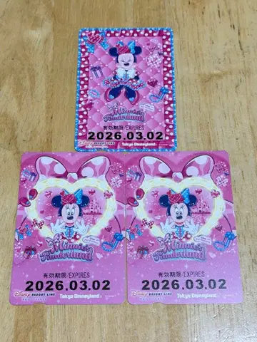 리조트라인 프리 티켓 미니의 날 미니의 팬더랜드