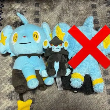 포켓몬 코링크 렌트 봉제 인형