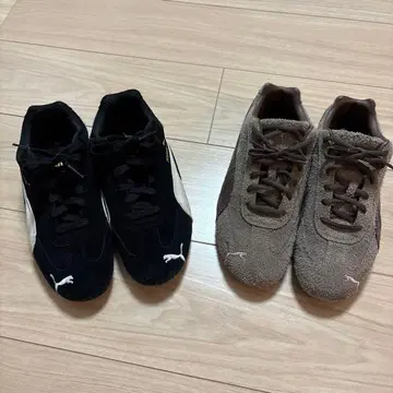 PUMA 푸마 스피도캣