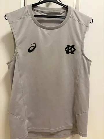 게이오 럭비 셔츠