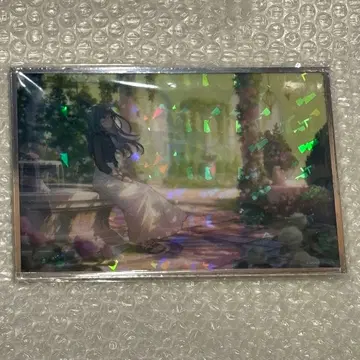 프로세카 하피콜레 아크릴 색지