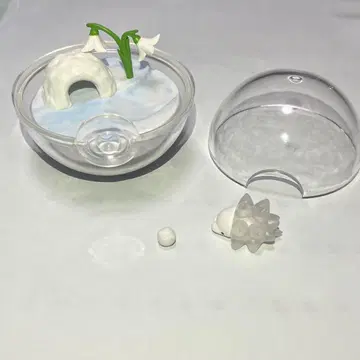 유키하미 테라리움 컬렉션