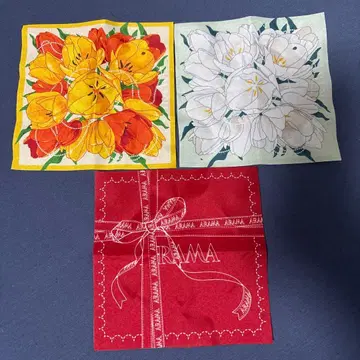 ARAMA TOKYO 스카프 미니 스카프 우메다점 시크릿 3장 세트