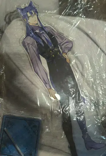 D.Gray-man cat 칸다 유우 아크릴 스탠드 추첨 A상