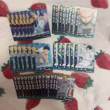 하이큐 바보카 최강의 도전장 아오바죠사이