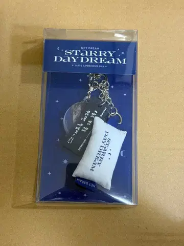 NCT DREAM starry daydream 키링 지성