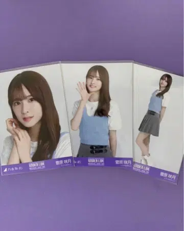 노기자카46 스가와라 사츠키 브로마이드 언더 라이브 니트 뷔스티에 컴프