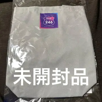 route246 토트백 노기자카46 사이토 아스카