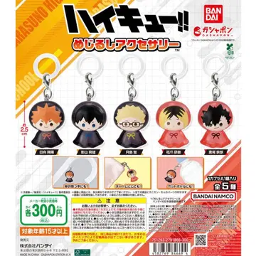 하이큐 메지루시 액세서리