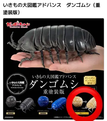 생물대도감 어드밴스 온라인 한정판 공벌레 알비노 공벌레