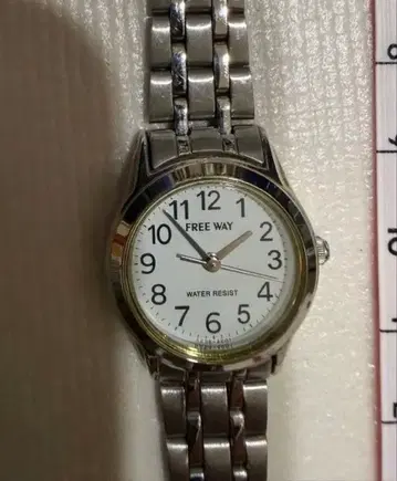 시티즌(CITIZEN)의 Q&Q 브랜드 FREE WAY (프리웨이)