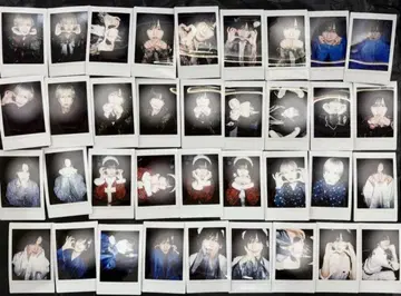 러브시크 XP!A 우토 폴라로이드 묶음 판매