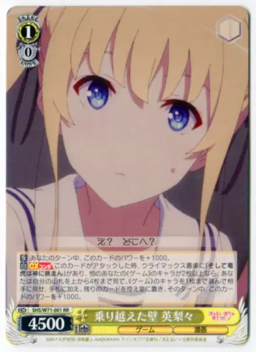 부시로드 바이스 슈바르츠 SHS/W71-001 넘어선 벽 에리리 RR