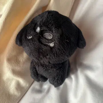 RIIZE 라이즈 10cm 인형 키링 앤톤