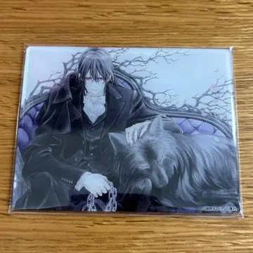 뱀파이어 기사 아크릴 카드 쿠란 카나메