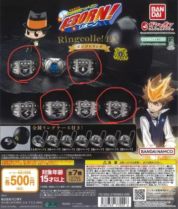 가정교사 히트맨 리본 봉고레 반지 DX 폭풍, 비, 안개, 맑음