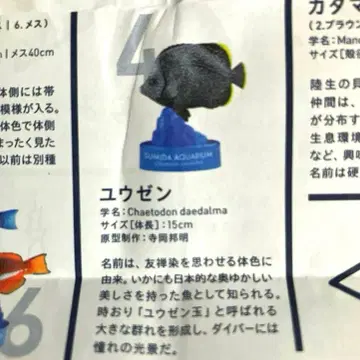 카이요도 스미다 수족관 한정판 피규어 컬렉션 유젠