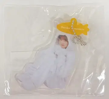 히나타자카46 5번째 히나탄사이 야마시타 하루카 동물 인형옷 아크릴 키링
