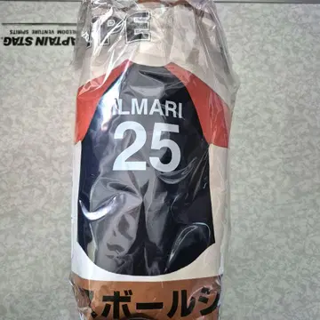 RIP SLYME GREATEST LIVE 베이스볼 셔츠 ILMARI