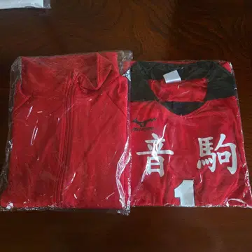 하이큐!! 네코마 고교 저지 유니폼