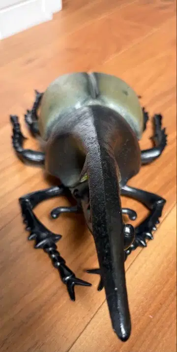 헤라클레스 장수풍뎅이 MEGA