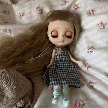 커스텀 브라이스