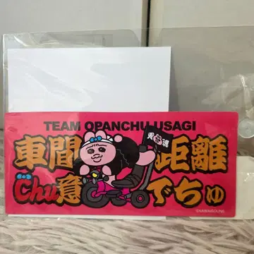 빤쮸토끼 카 마그넷 차간 거리 chu의데쮸