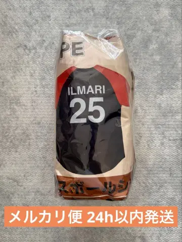 RIP SLYME 베이스볼 셔츠 GiGO 한정판 ILMARI