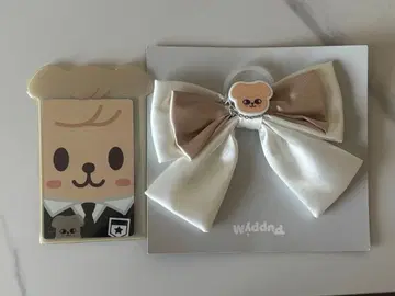 straykids 승민 퍼핌 응원봉 리본 트레이딩 카드 케이스 세트