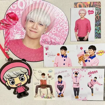 GOT7 잭슨 부채 패스 케이스 트레이딩 카드 랜덤 트레이딩 카드