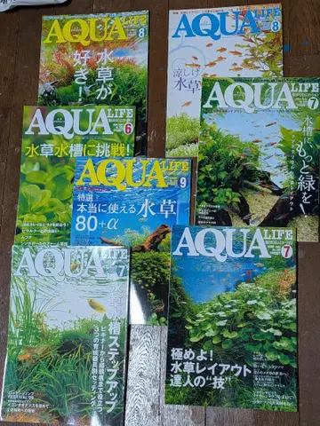 월간 아쿠아 라이프 7권 묶음 판매