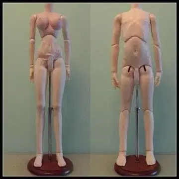 SEN KM0582 [ SEN ] 1/4, 1/3 겸용 인형 스탠드