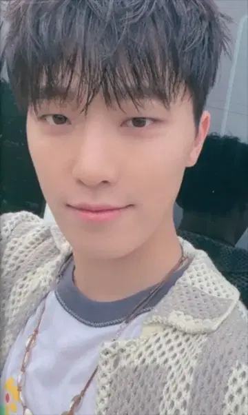 세븐틴 UMS 디노 스필 더 필스 캐럿