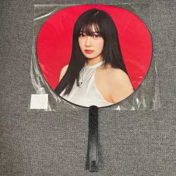 aespa 에스파 지젤 부채