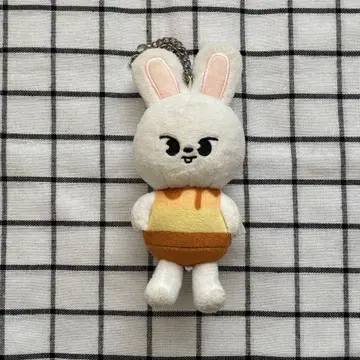 straykids 리빗 푸딩 백참