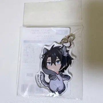 새벽의 연화 하쿠 아메리칸 컬 아크릴 참 온라인 복권 미니!