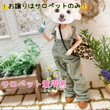 브라이스 브라이스 사이즈/살로펫