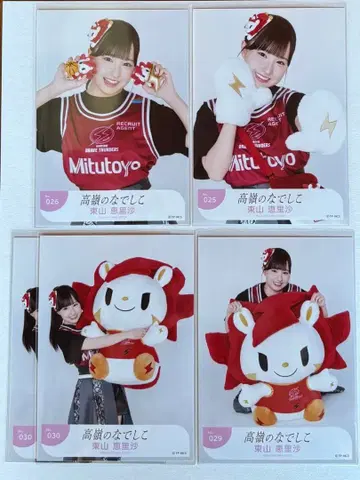 타카네노 나데시코 히가시야마 에리사 브로마이드