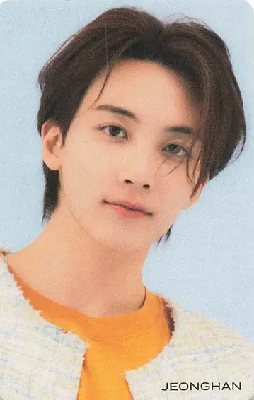 SEVENTEEN HMV 정한 헹가래 ver1