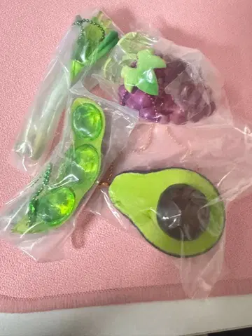 생물 x 보석 식물편