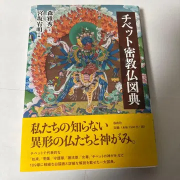 티베트 밀교 불도전 불교 불상