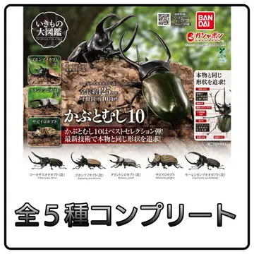 [ 새상품 ] 생물대도감 사슴벌레 10 전종 컴플리트